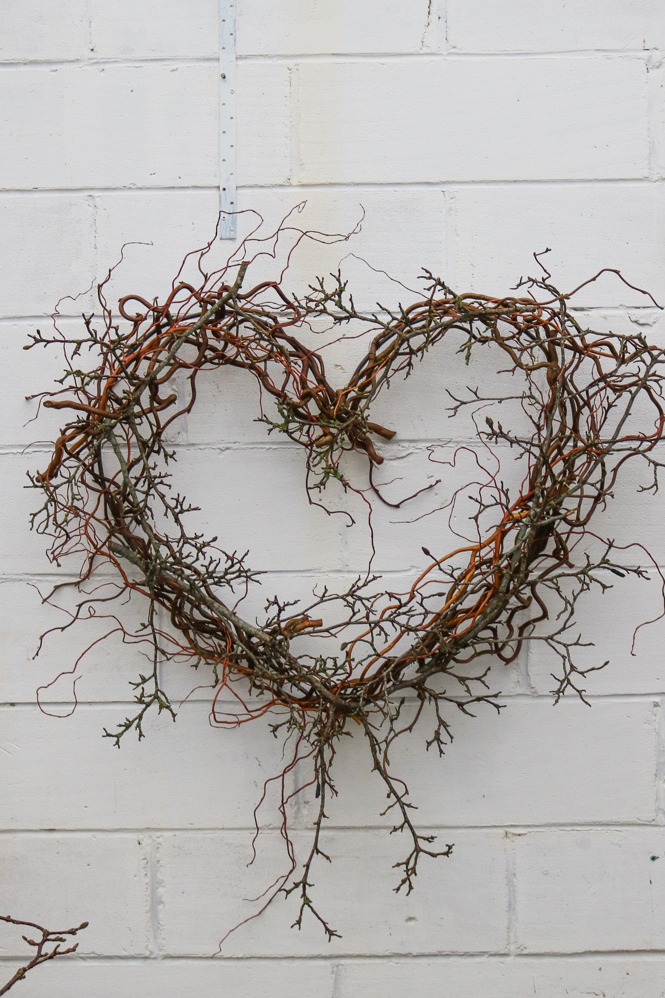 Large Magnolia Wild Heart